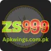 ZS999 Game