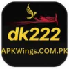 DK222 Game